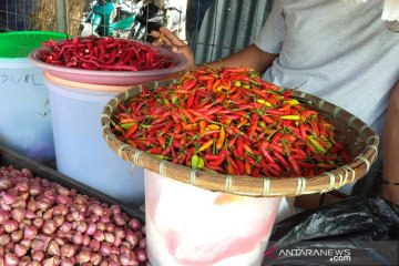 Harga cabai rawit di Sorong tembus Rp140.000 per Kg