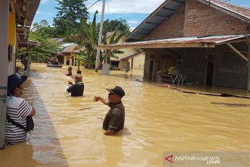 Banjir rendam empat desa di Kabupaten Paser