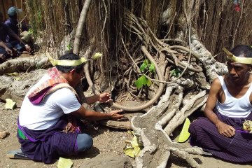 Warga Witihama Flores Timur gelar ritual "tolak bala" cegah COVID-19