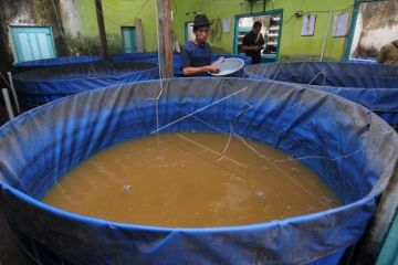 Pemberdayaan warga kampung Germas