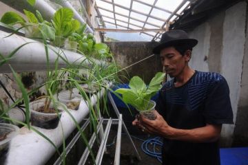 Pemberdayaan warga kampung Germas