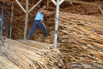 Stok rotan menumpuk akibat pemasaran terhenti
