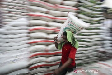 DPR minta Bulog pastikan stabilitas harga beras di tengah COVID-19