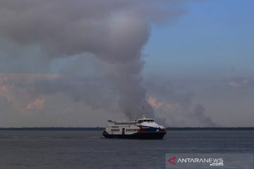 Kebakaran hutan di Pulau Rupat