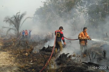 TMC basahi lahan gambut antisipasi puncak musim kemarau cegah karhutla