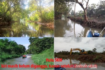 Pemerhati sungai tanam pohon kanopi yang dibabat kontraktor