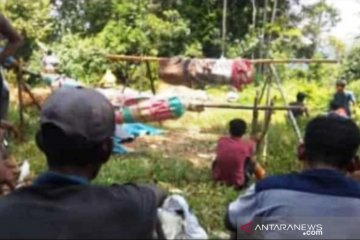 Tertimpa pohon dua pendulang emas meninggal dunia di Aceh Barat