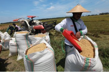 Heran harga beras naik, Presiden: Tolong lapangannya diperiksa betul