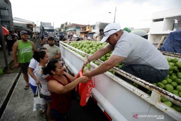 Tak bisa ekspor akibat COVID-19, petani bagikan sayur dan buah gratis ke warga