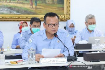 KKP realokasi anggaran Rp483 miliar percepat pemulihan ekonomi