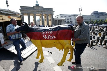 Jerman desak Uni Eropa bertindak dukung peternak sapi perah