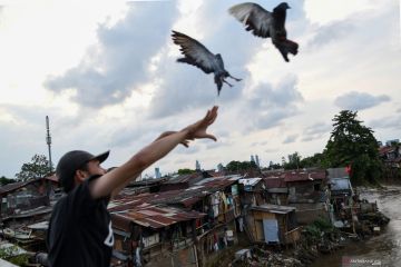 KPKP DKI terapkan prosedur biosekuriti putus penularan flu burung