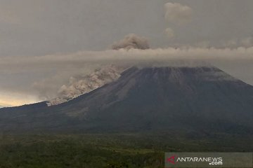 Aktivitas Gunung Semeru meningkat, warga sekitar diminta waspada