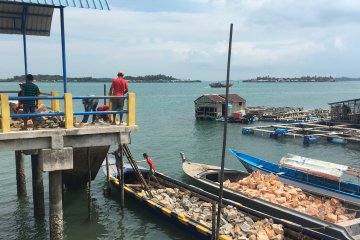Bahan bangunan untuk pulau