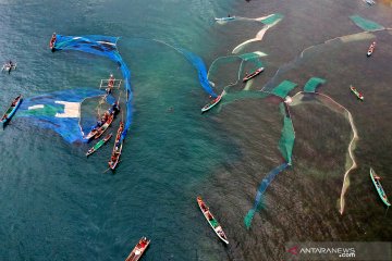 Nelayan menebar jala tangkap ikan nike di Gorontalo