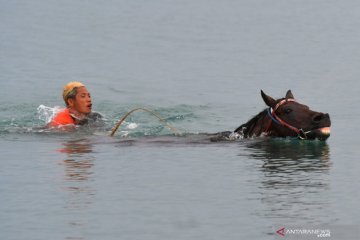 Melatih kuda pacu di pantai Talise