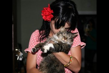 Kucing kesayangan Katy Perry mati