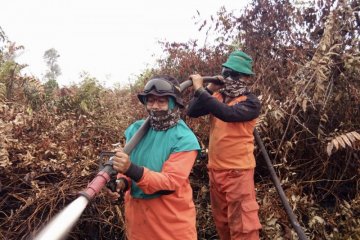 Kajian Madani temukan area moratorium hutan dan gambut masih terbakar