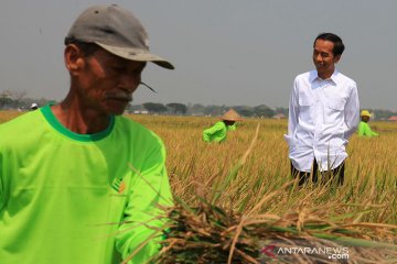 Para petani dibekali pelatihan agar mampu tangkarkan benih unggul