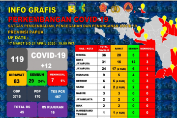 Ada tambahan 12,  warga positif COVID-19 di Papua  jadi 119 orang