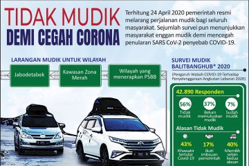 Tidak mudik demi cegah Corona