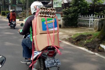 BPKN: Bansos bagi warga terdampak Covid-19 harus aman dikonsumsi