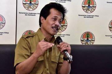 Indonesia 2018-2019 kehilangan tutupan hutan 462.400 ha