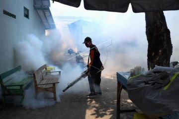 Pengasapan untuk antisipasi penyebaran DBD