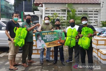 PKB beli ayam dari peternak dan bagikan ke korban PHK