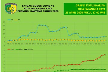 Jumlah pasien positif COVID-19 di Palangka Raya capai 29 orang