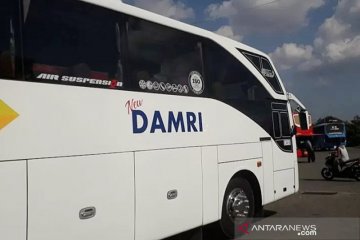 Perum DAMRI Lampung batalkan perjalanan bus AKAP