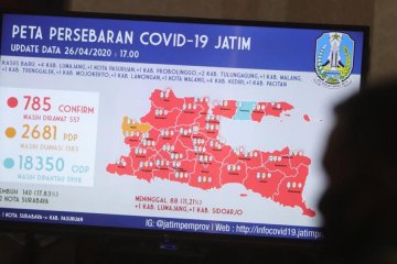 Pasien terkonfirmasi positif COVID-19 di Jatim capai 785 kasus