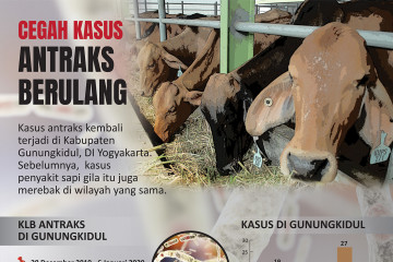 Cegah kasus antraks berulang