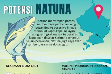 Potensi Natuna