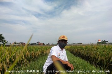 Kementan: Petani dituntut terus berinovasi majukan usaha pertanian