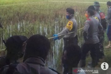 Polres HST selidiki mayat tergeletak di sawah Desa Ayuang