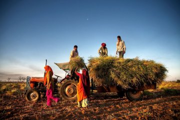 FAO imbau masyarakat beli makanan dari usaha pangan setempat