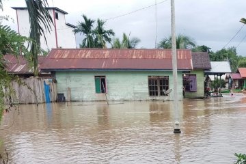 BMKG: Sulteng dan Papua sangat berpotensi banjir