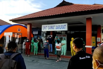 Kabar baik, tiga pasien COVID-19 di Jayapura sembuh