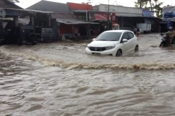 Banjir rendam puluhan rumah warga di Jember