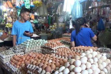 Kendari terapkan belanja daring di pasar tradisional