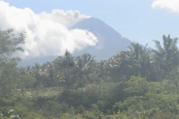 Merapi kembali semburkan abu vulkanik 3.000 meter