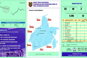 Kasus positif COVID-19 di Kalsel kini 25