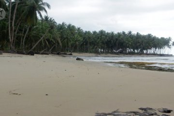 Puluhan wisman tertahan di Kepulauan Mentawai