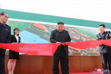 Kim Jong Un resmikan pabrik pupuk