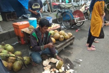 Permintaan tinggi pada Ramadhan, kelapa dipasok dari Lebak selatan