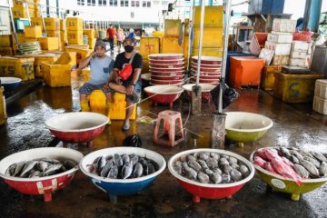 Pasar Ikan Muara Angke Terdampak PSBB Jakarta