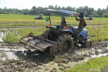 Manfaatkan sisa musim hujan, petani diminta percepat tanam padi tahap kedua