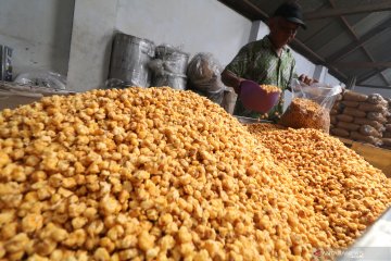 Gugus Tugas dorong masyarakat manfaatkan keragaman pangan Indonesia