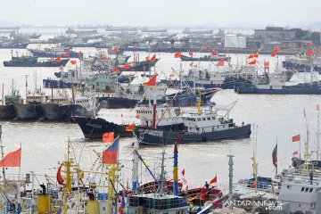 "Armada gelap" China menangkap ikan di Korut meski ada larangan sanksi